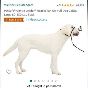 PetSafe® Gentle Leader® Headcollar, No-Pull Dog Collar, Large 60-130 Lb., Black